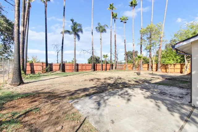 a view of a palm tree in front of a building