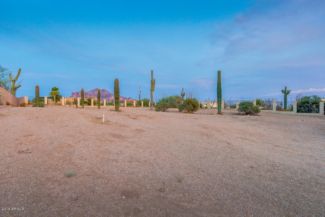 4841 North Cactus Road Apache Junction, AZ 85119 - Photo 41 of 55 40-Cactus
