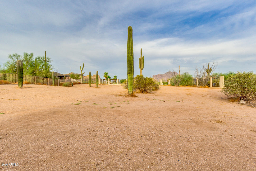 4841 North Cactus Road Apache Junction, AZ 85119 - Photo 55 of 55 55-Cactus