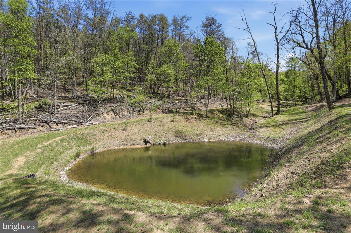 3837 Graces Cabin Road Springfield, WV 26763 - Photo 33 of 33