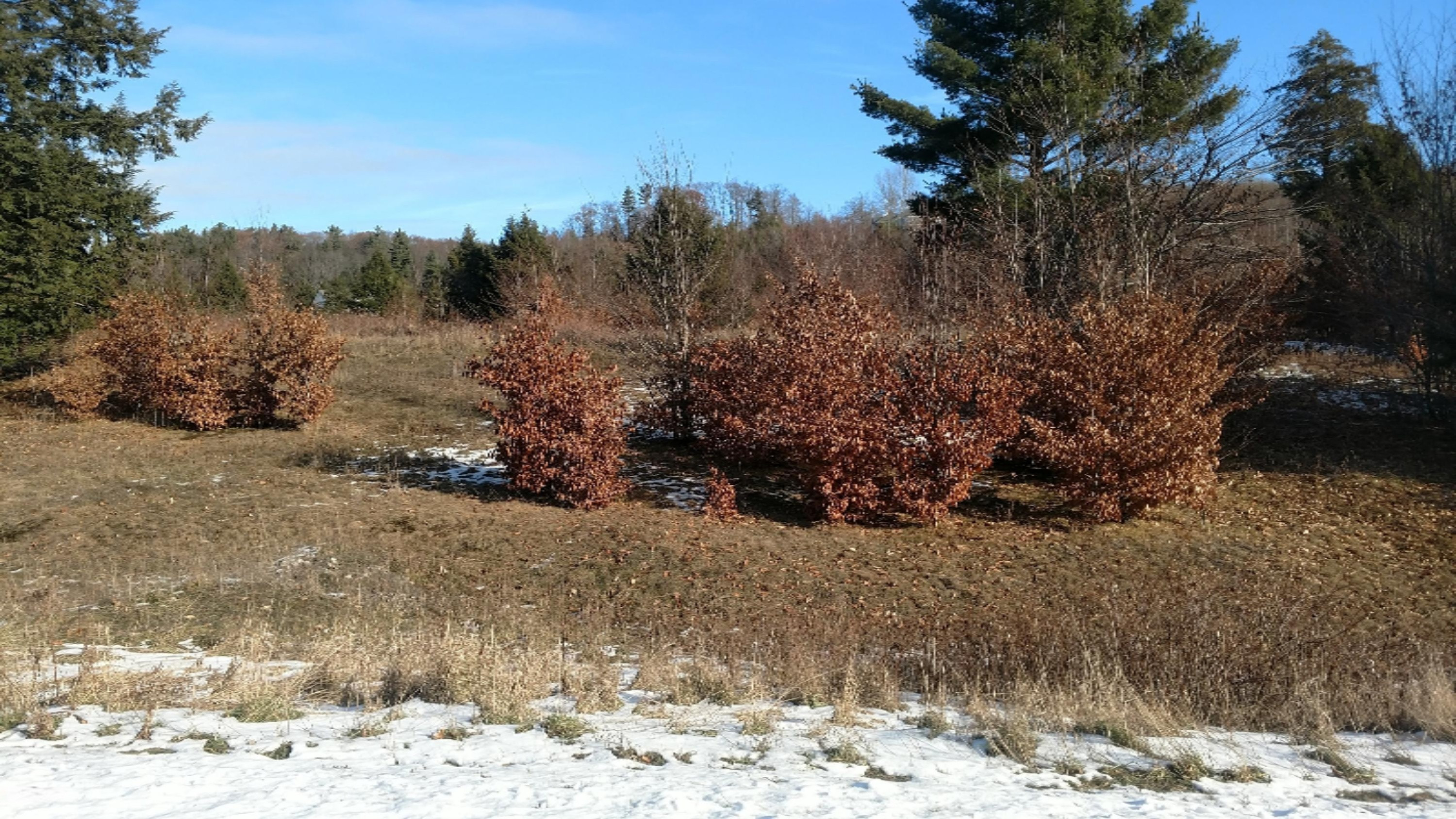 Lot 122 Eagle Ridge Circle Onekama, MI 49675 - Photo 2 of 10 IMG_20181218_113431893