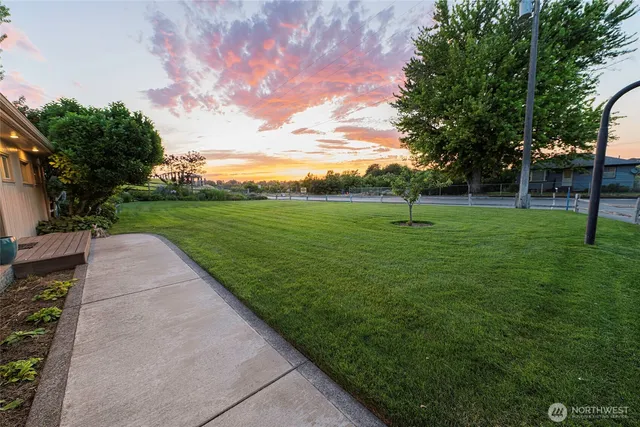 a view of a garden with trees