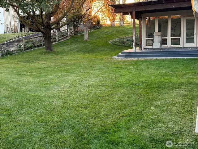 a view of a garden with flowers