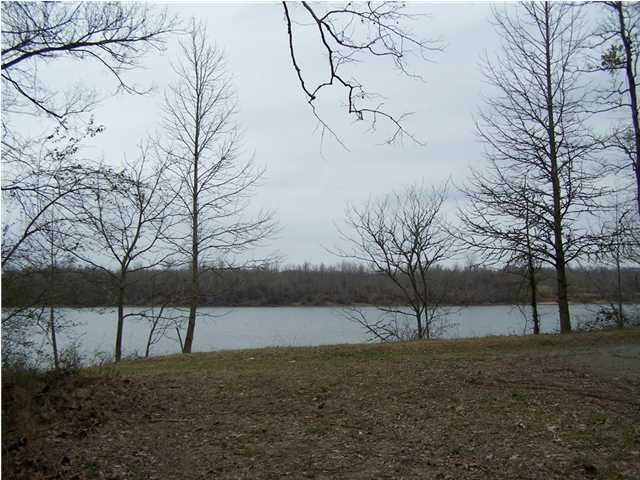 0 Moss Road Decatur, TN 37322 - Photo 1 of 8 Primary Photo
