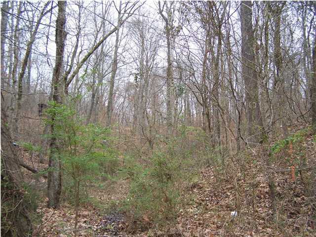 0 Moss Road Decatur, TN 37322 - Photo 2 of 8 Additional Photo