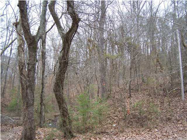0 Moss Road Decatur, TN 37322 - Photo 6 of 8 Additional Photo