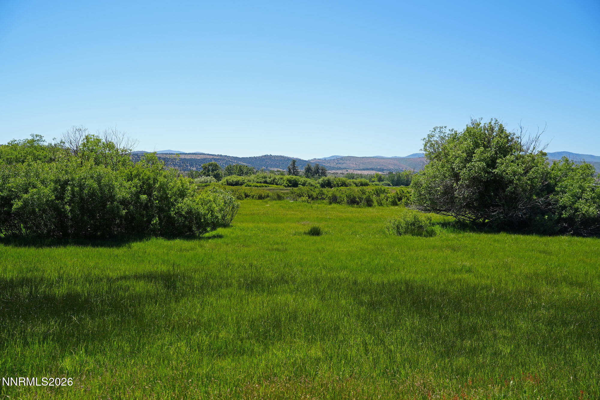 60 Old Chambers Road Markleeville, CA 96120 - Photo 3 of 30 08