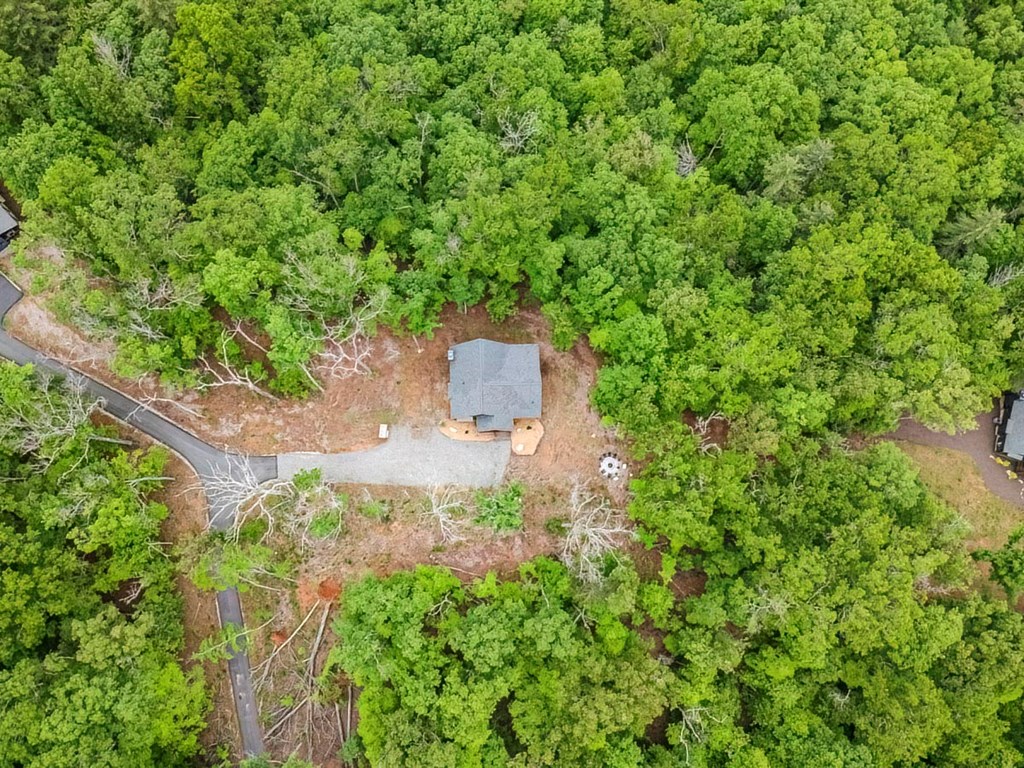1085 Dills Road Blue Ridge, GA 30513 - Photo 50 of 54 Gallery Image 50