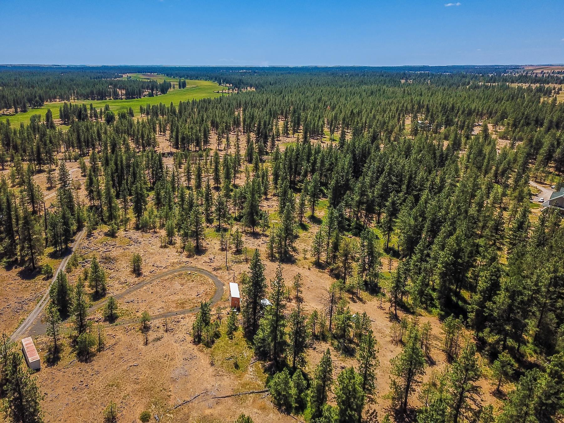 27816 West Drumheller Road Cheney, WA 99004 - Photo 3 of 9