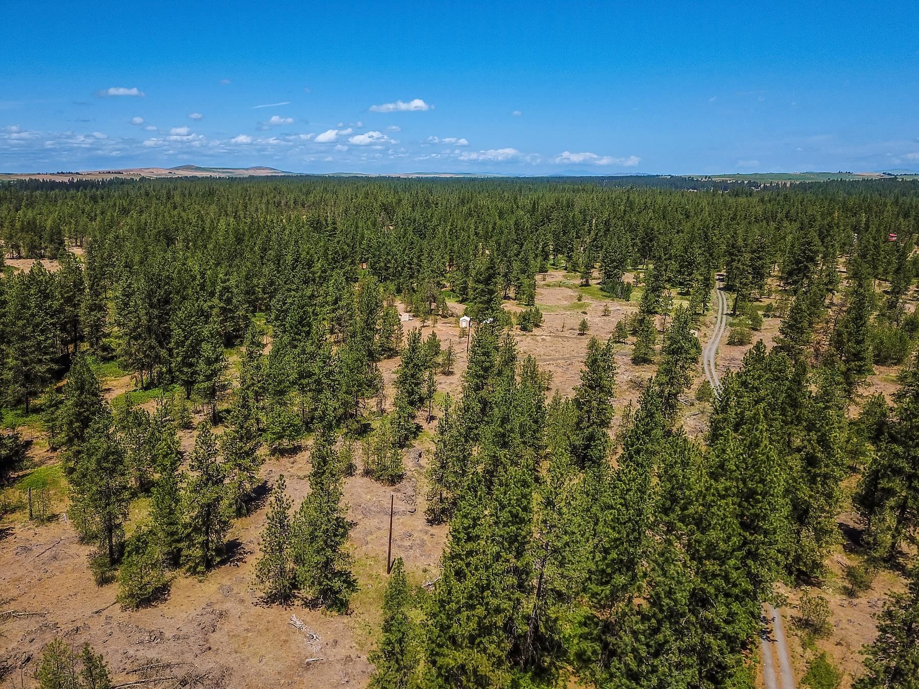 27816 West Drumheller Road Cheney, WA 99004 - Photo 5 of 9