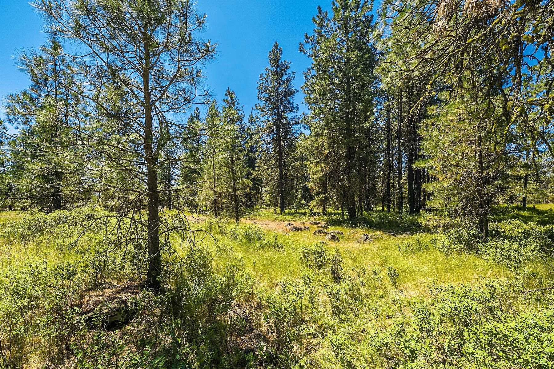 27816 West Drumheller Road Cheney, WA 99004 - Photo 6 of 9