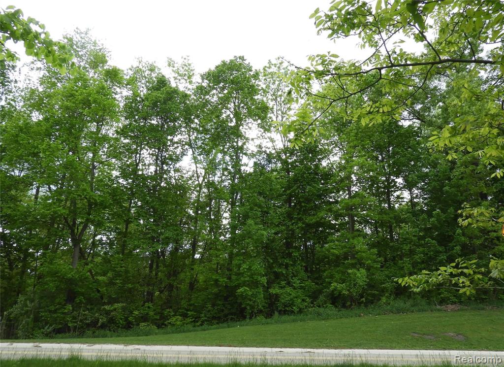 6120 Sheldon Road Rochester Hills, MI 48306 - Photo 3 of 8