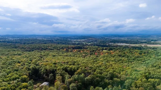 $24,000 | Tbd Horseshoe Hollow, Greenville, VA 24440