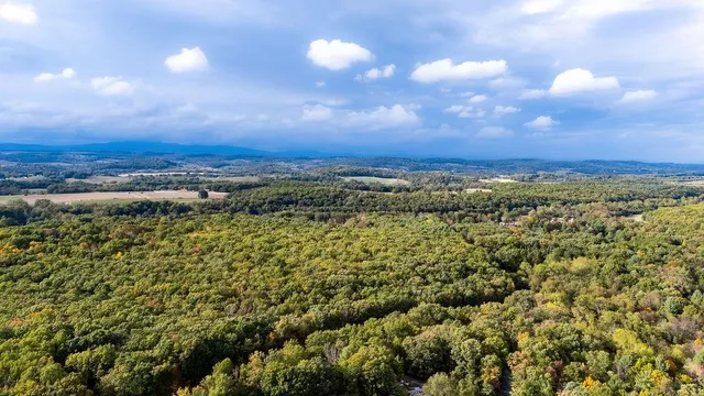 $24,000 | Tbd Horseshoe Hollow, Greenville, VA 24440