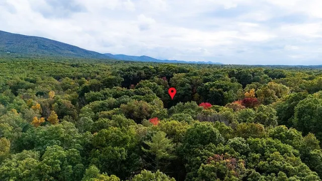 $24,000 | Tbd Horseshoe Hollow, Greenville, VA 24440