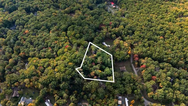 an aerial view of a forest