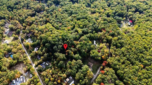 a view of a dry yard