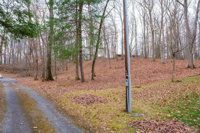 $24,000 | Tbd Horseshoe Hollow, Greenville, VA 24440