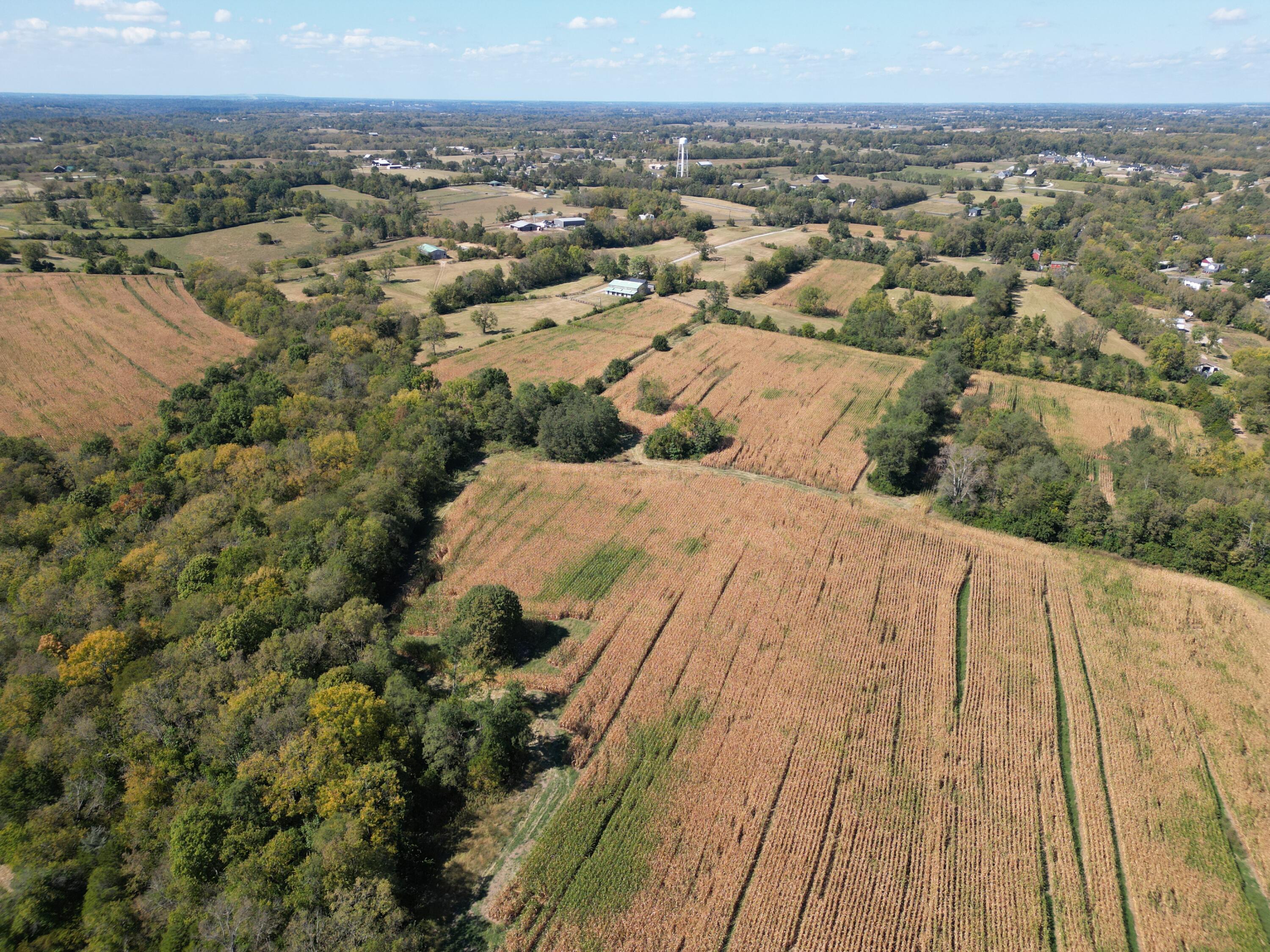 605 Delaney Ferry Road Versailles, KY 40383 - Photo 9 of 36 DJI_0116