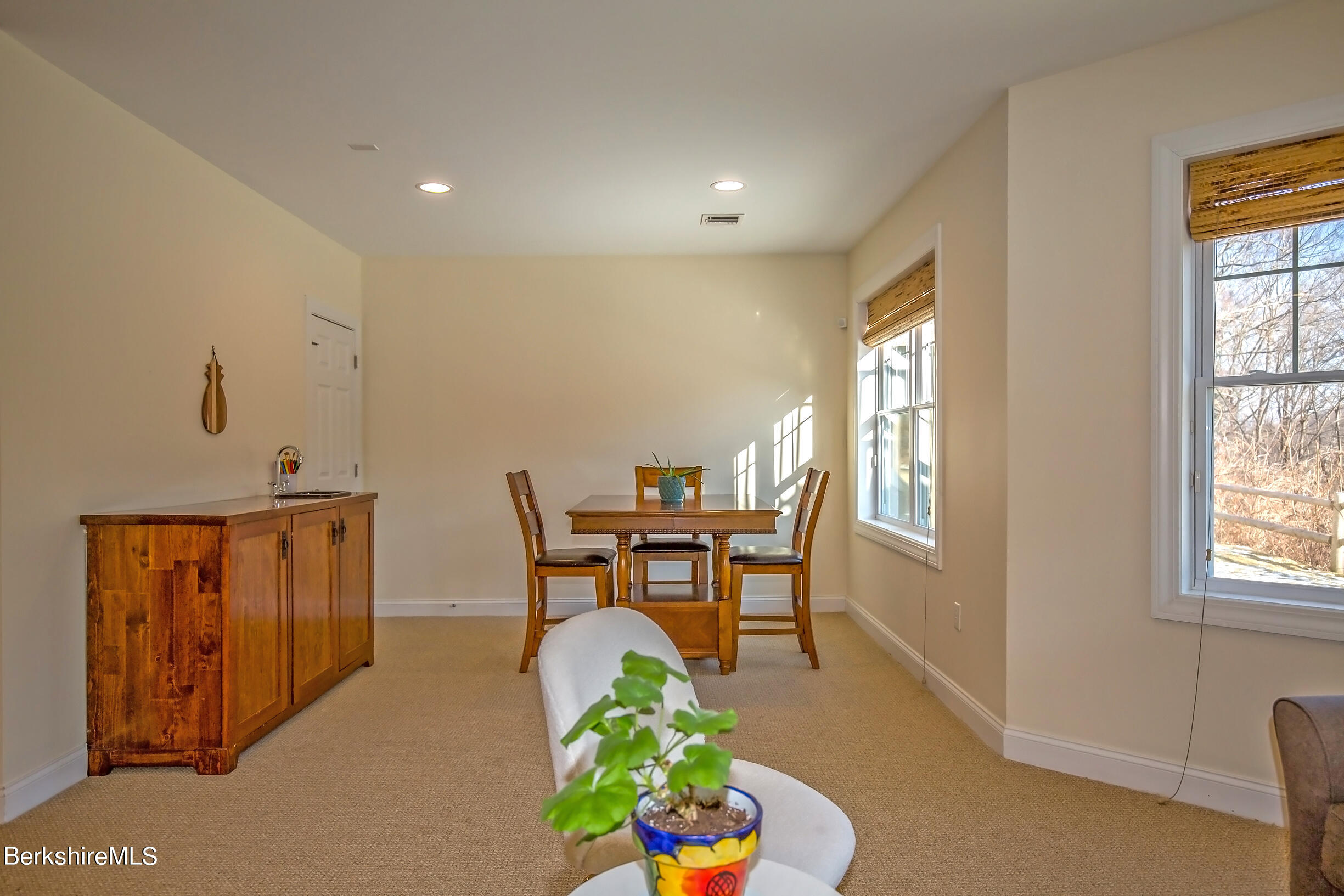 77 Alpine Trail Pittsfield, MA 01201 - Photo 45 of 58 lower lvl