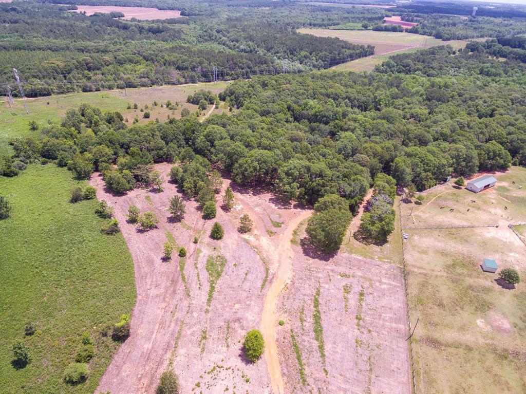 2150 Bethlehem Road Midland City, AL 36350 - Photo 1 of 1