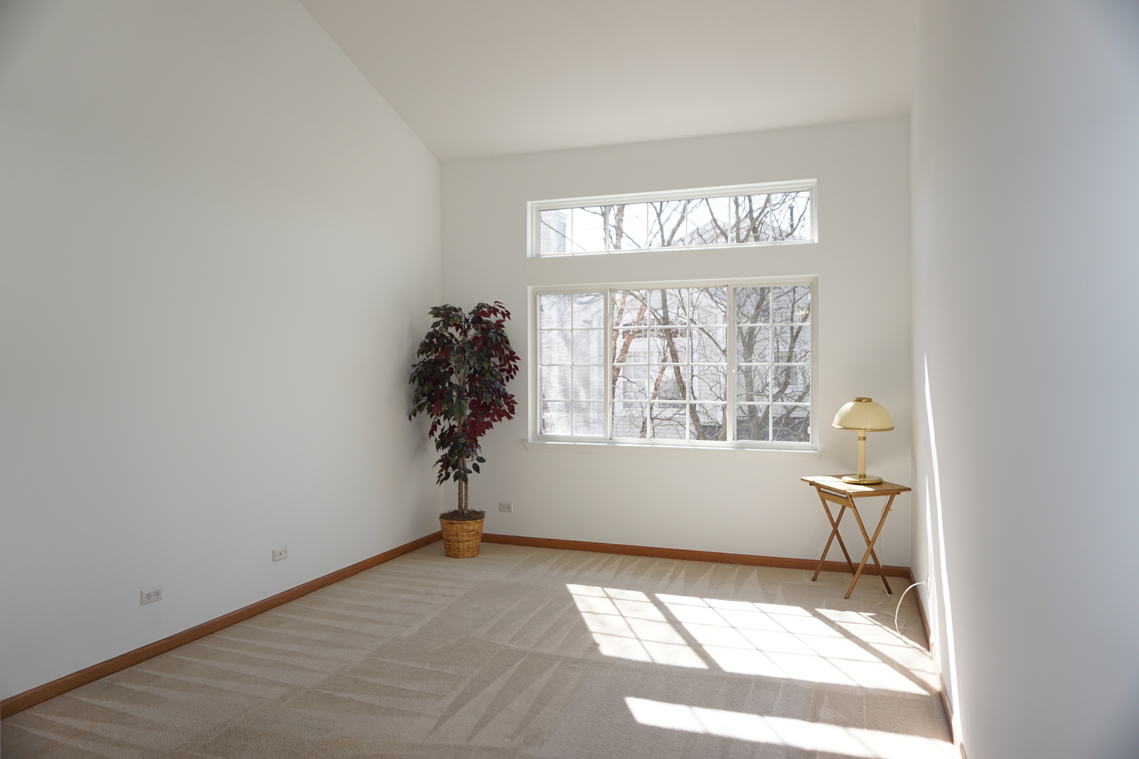 1164 Bristol Lane, Unit 1164 Buffalo Grove, IL 60089 - Photo 13 of 22