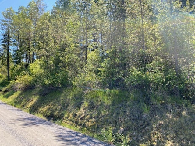 Xxx West Jump Off Joe Road Valley, WA 99181 - Photo 3 of 4