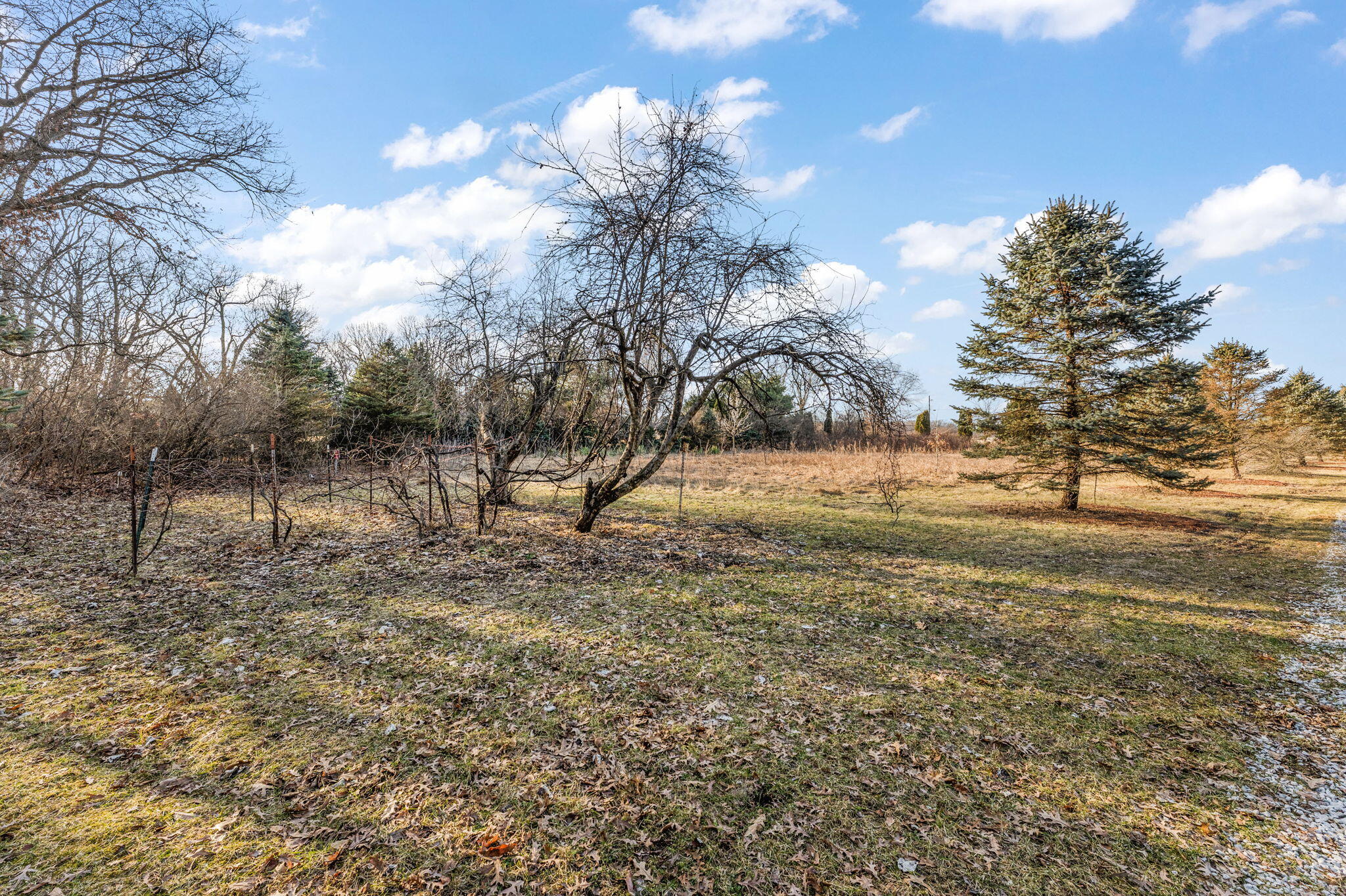 3115 West 800th Street North Rensselaer, IN 47978 - Photo 36 of 36 a view of road view with large trees