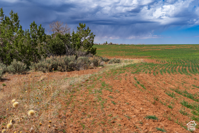 1 North Bug Point Monticello, UT 84535 - Photo 1 of 24