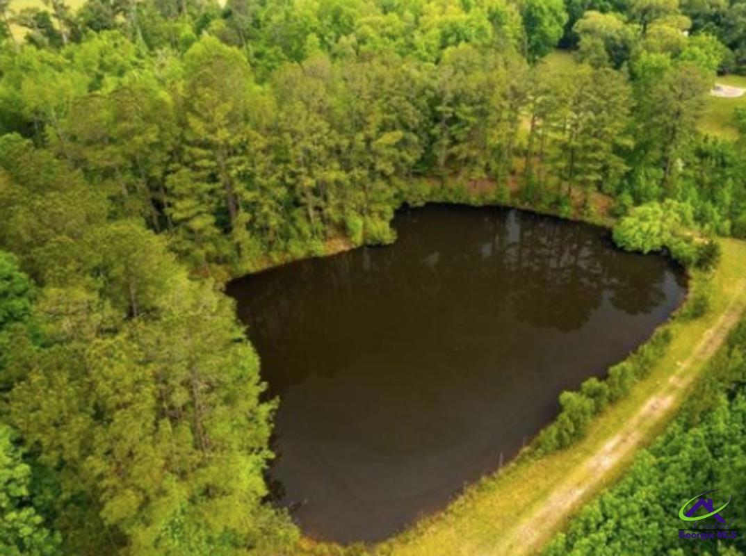575 Holland Road Fort Valley, GA 31030 - Photo 26 of 74 Gallery Image 26