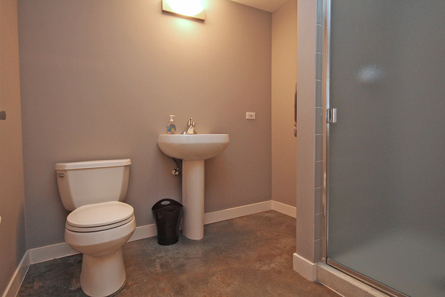 939 West Madison Street, Unit 209 Chicago, IL 60607 - Photo 12 of 17