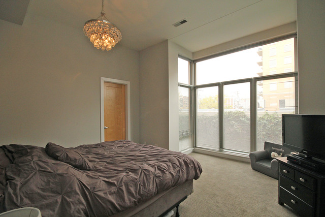 939 West Madison Street, Unit 209 Chicago, IL 60607 - Photo 13 of 17