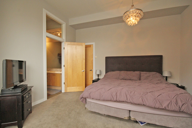 939 West Madison Street, Unit 209 Chicago, IL 60607 - Photo 14 of 17
