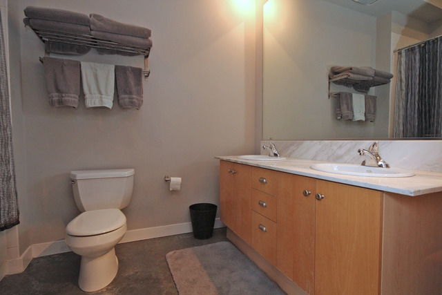 939 West Madison Street, Unit 209 Chicago, IL 60607 - Photo 17 of 17