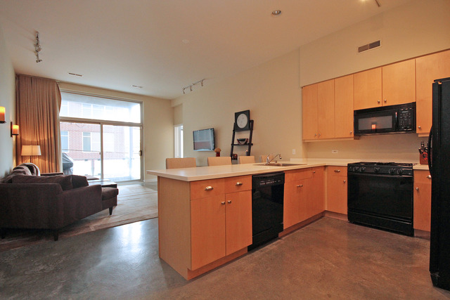 939 West Madison Street, Unit 209 Chicago, IL 60607 - Photo 6 of 17