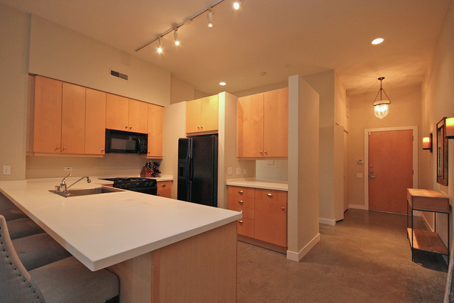 939 West Madison Street, Unit 209 Chicago, IL 60607 - Photo 7 of 17