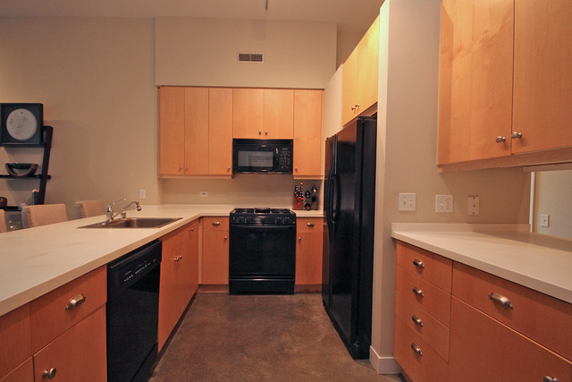 939 West Madison Street, Unit 209 Chicago, IL 60607 - Photo 9 of 17
