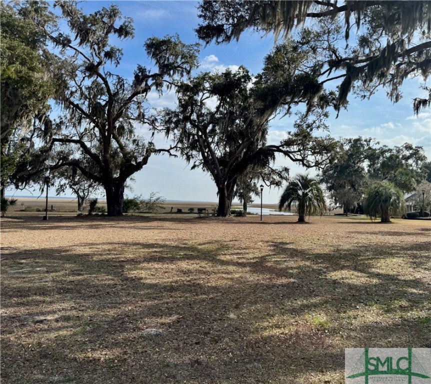 Lot 2 Yellow Bluff Drive Midway, GA 31320 - Photo 18 of 52