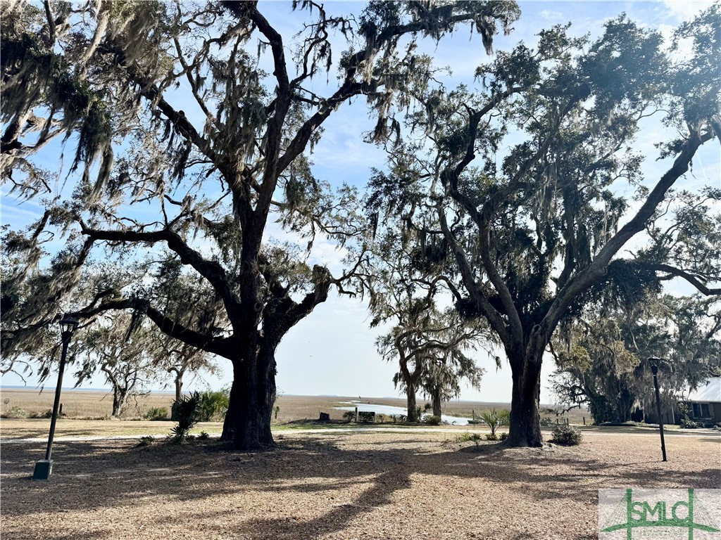 Lot 2 Yellow Bluff Drive Midway, GA 31320 - Photo 19 of 52