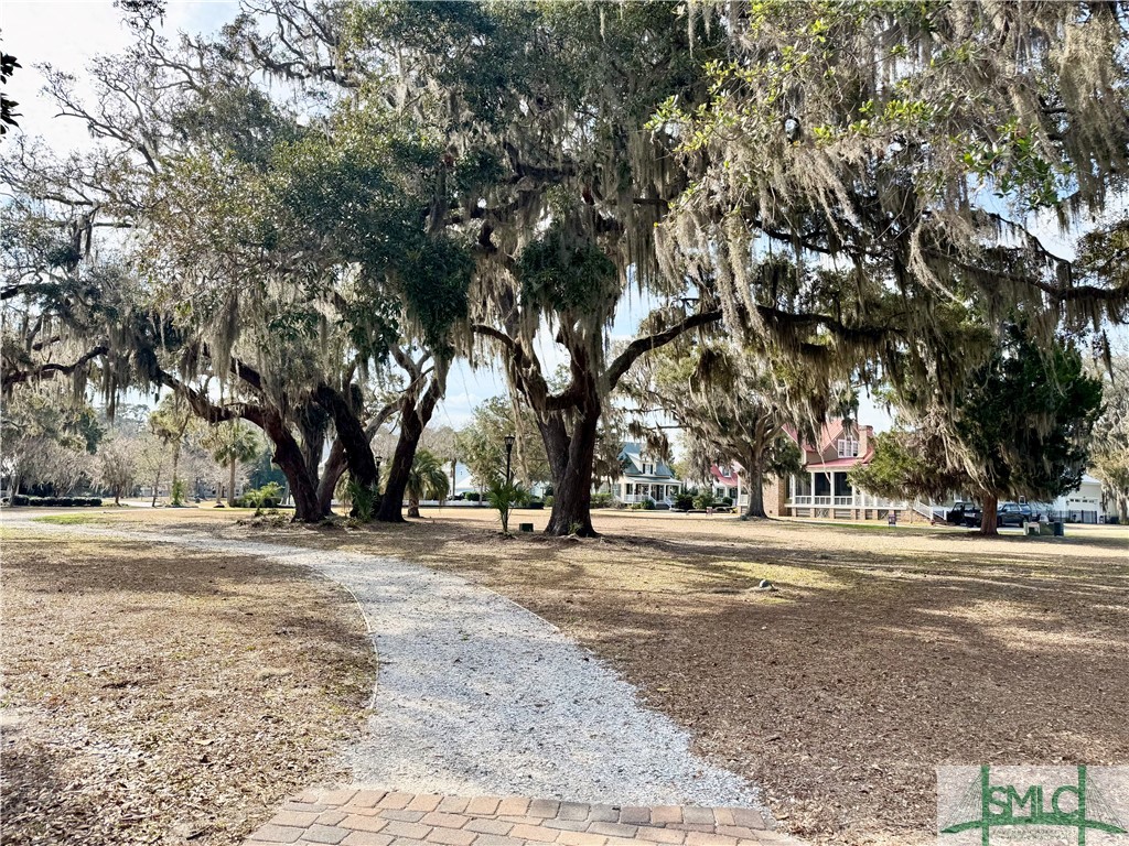 Lot 2 Yellow Bluff Drive Midway, GA 31320 - Photo 21 of 52