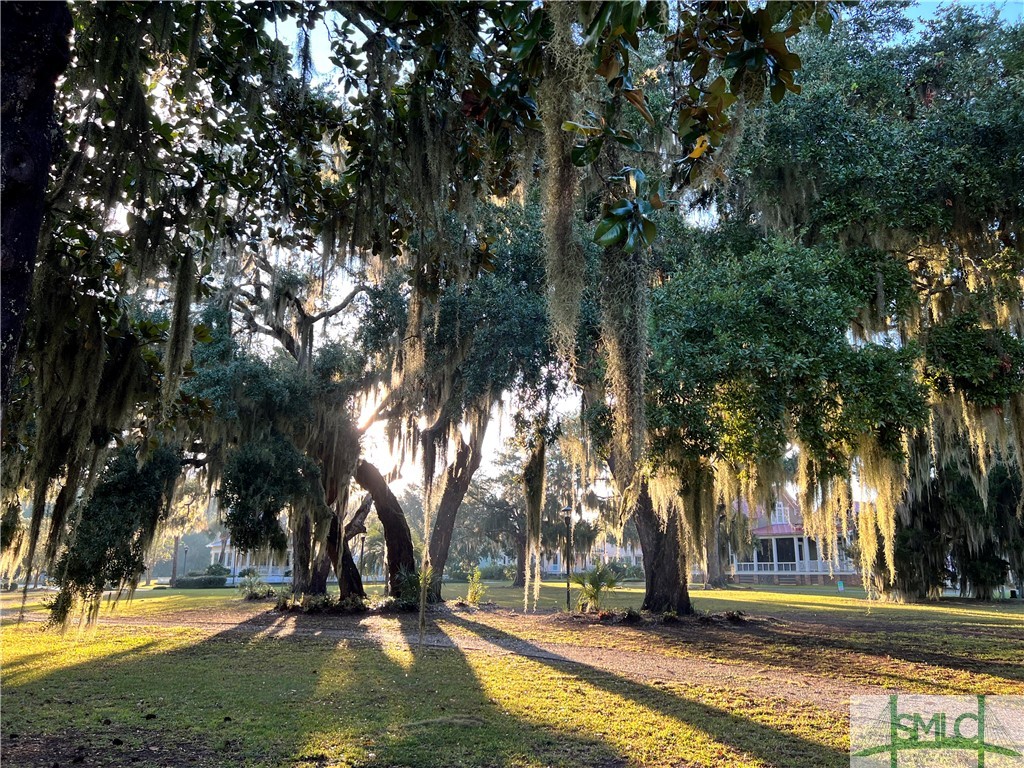 Lot 2 Yellow Bluff Drive Midway, GA 31320 - Photo 32 of 52