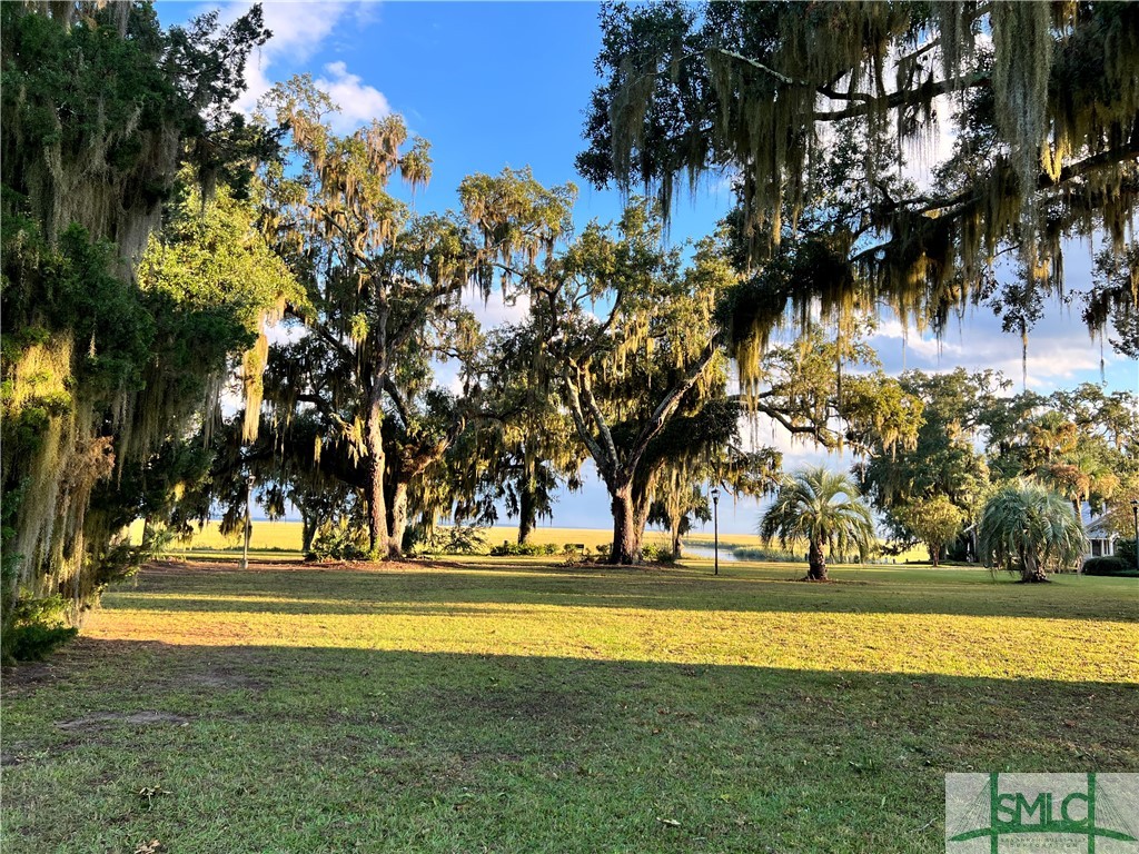 Lot 2 Yellow Bluff Drive Midway, GA 31320 - Photo 34 of 52