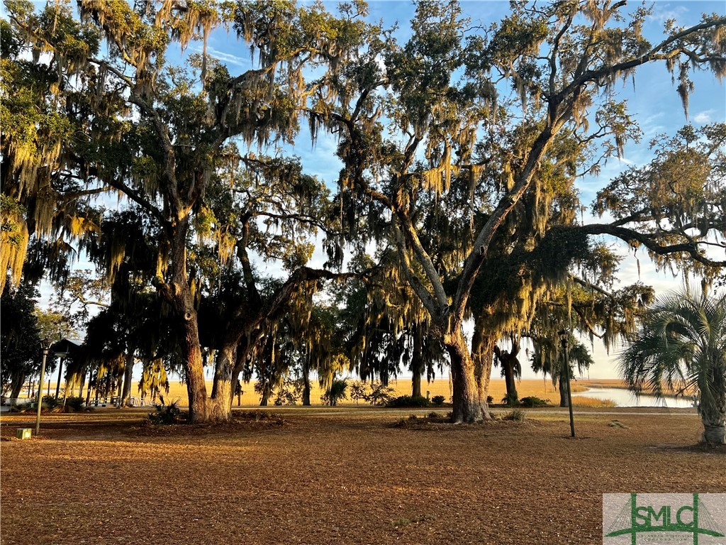 Lot 2 Yellow Bluff Drive Midway, GA 31320 - Photo 36 of 52