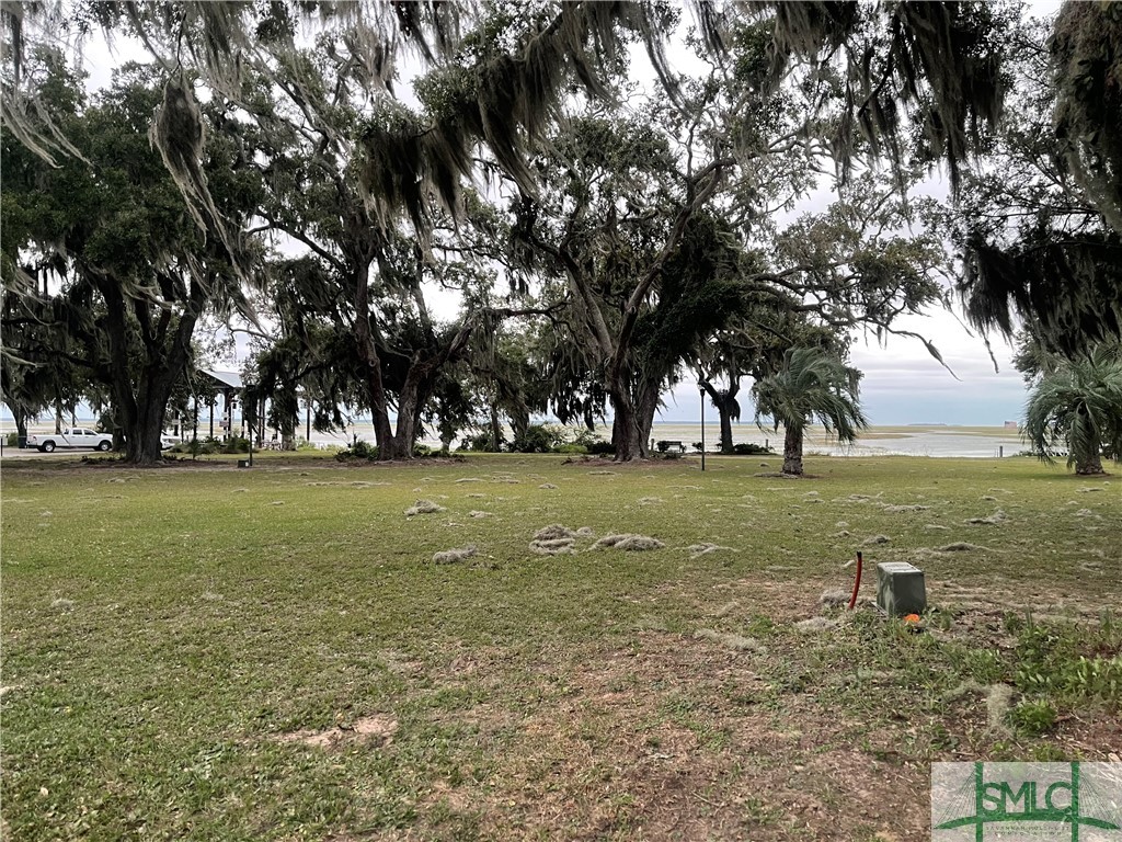 Lot 2 Yellow Bluff Drive Midway, GA 31320 - Photo 37 of 52