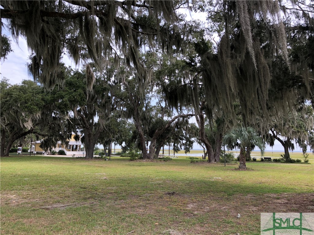 Lot 2 Yellow Bluff Drive Midway, GA 31320 - Photo 42 of 52