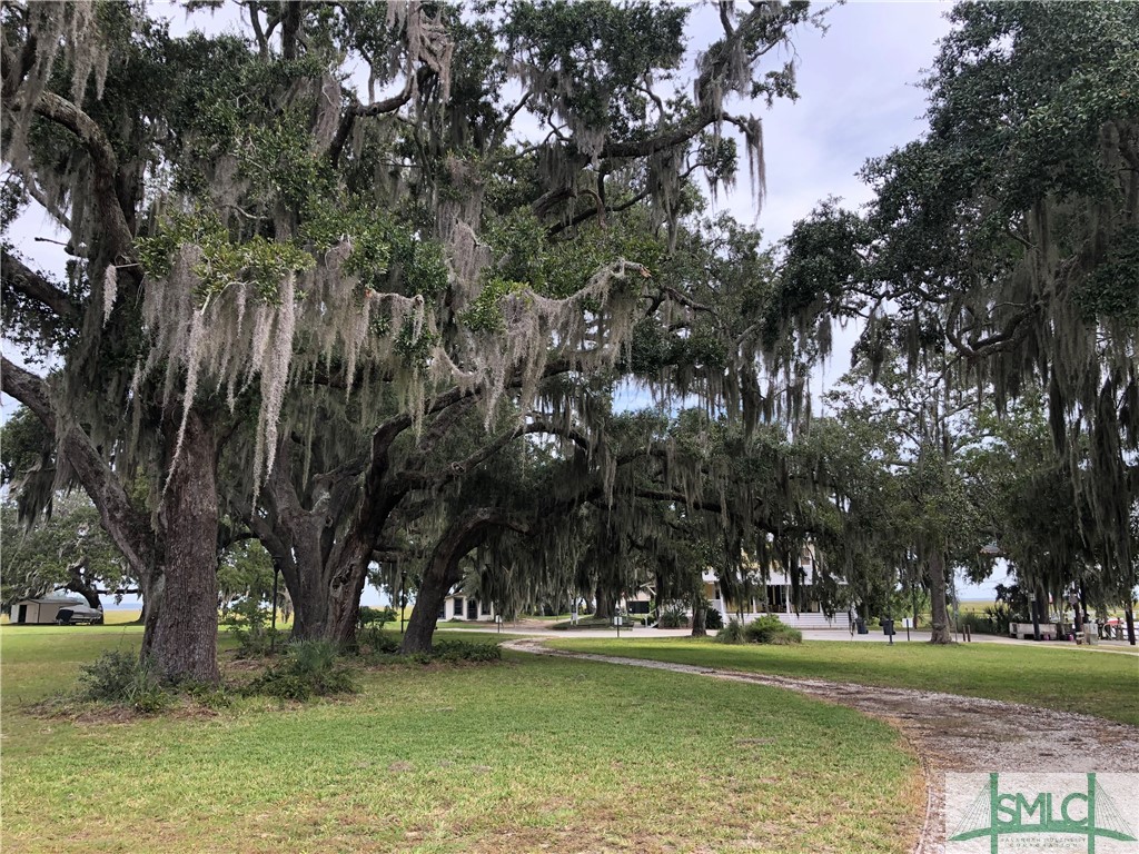 Lot 2 Yellow Bluff Drive Midway, GA 31320 - Photo 43 of 52