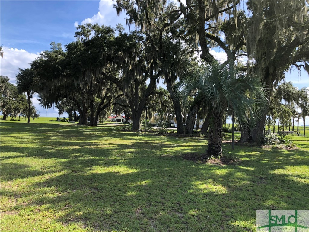 Lot 2 Yellow Bluff Drive Midway, GA 31320 - Photo 45 of 52