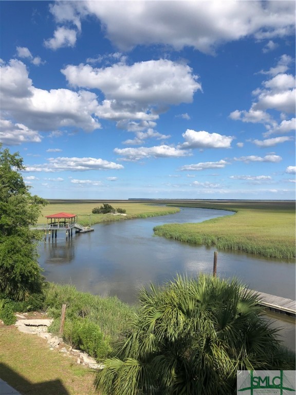 Lot 2 Yellow Bluff Drive Midway, GA 31320 - Photo 49 of 52