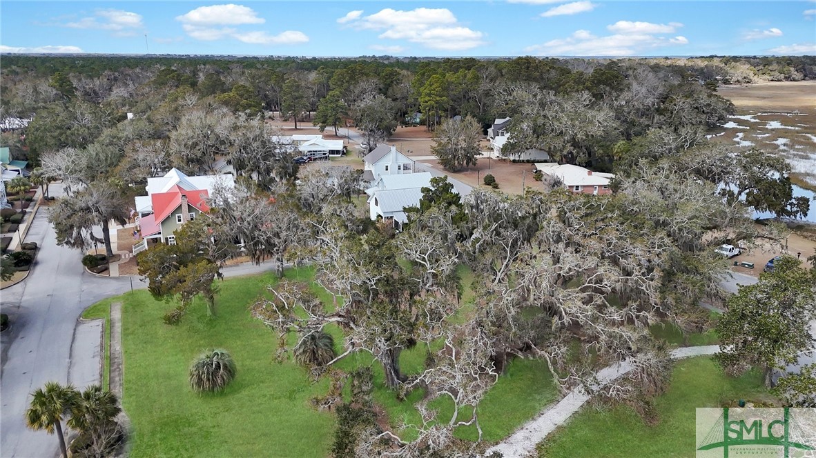 Lot 2 Yellow Bluff Drive Midway, GA 31320 - Photo 8 of 52