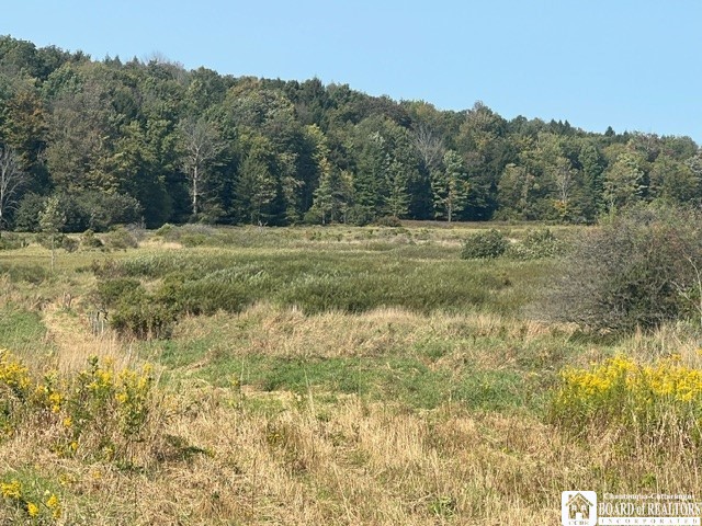 1711 Pork Road Clymer, NY 14724 - Photo 1 of 1